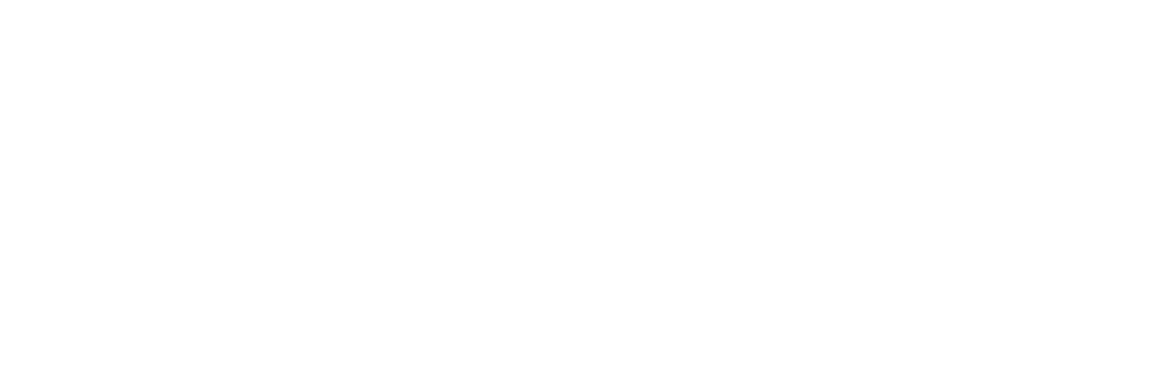 Global Success System