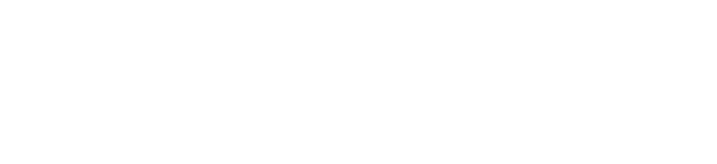 SubsidyX